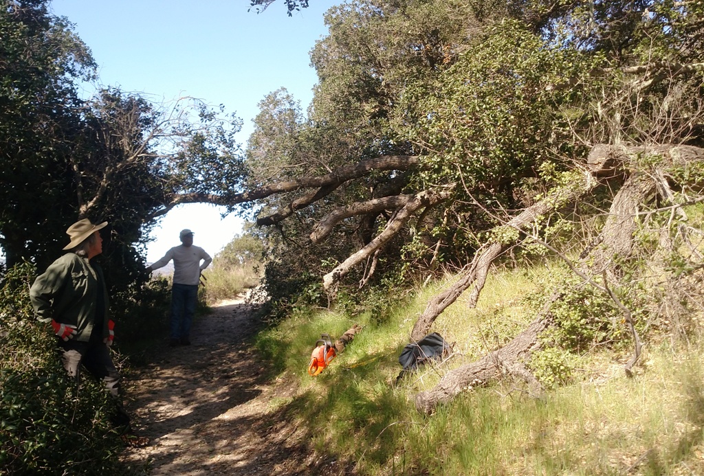 Mark and Bruce clearing the blockage across ALPS Trail.